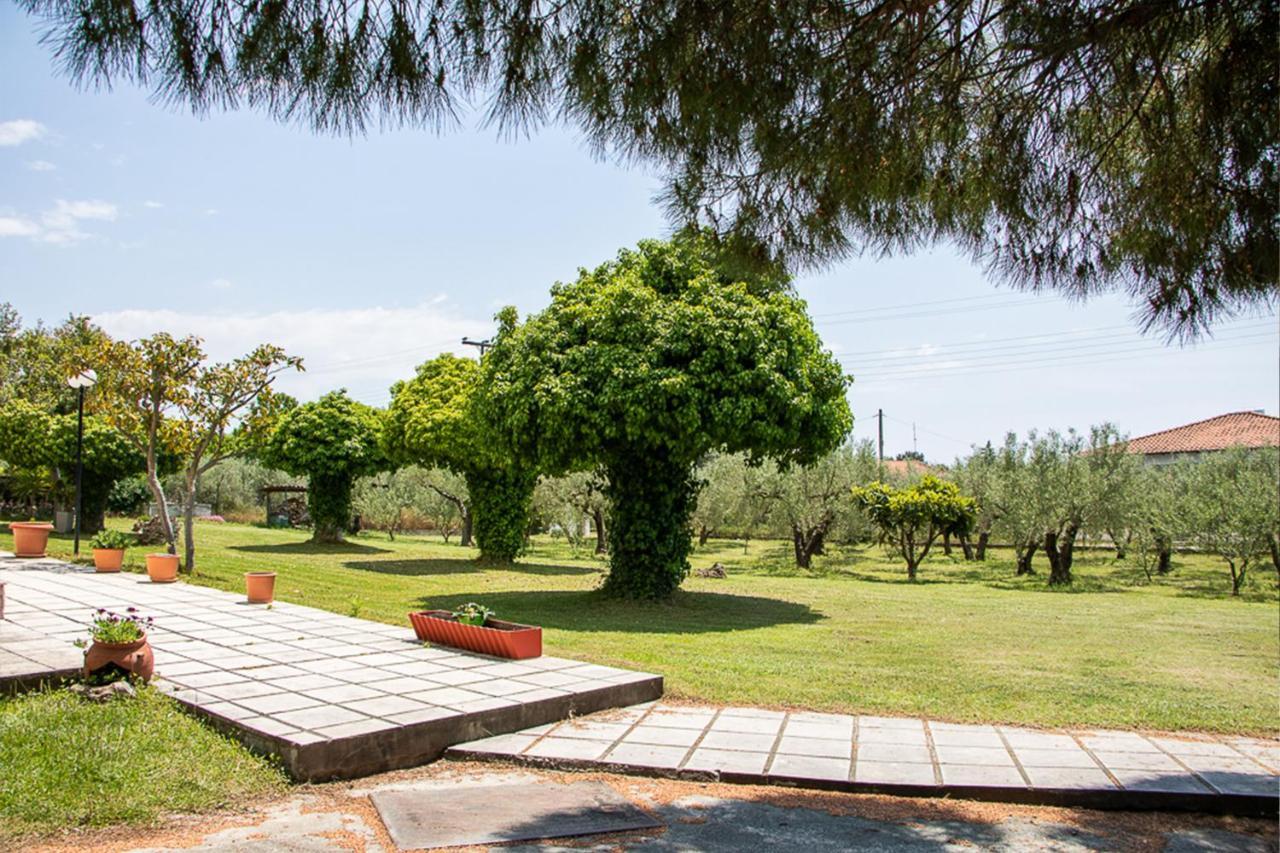 Olivemare Holidays Nea Irakleia Extérieur photo